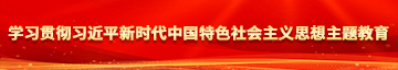 淫女bbb在线免费观看学习贯彻习近平新时代中国特色社会主义思想主题教育