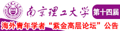 大黑鸡把操小日本美女视频南京理工大学第十四届海外青年学者紫金论坛诚邀海内外英才！